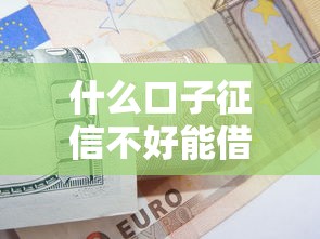 什么口子征信不好能借款，歸納5個(gè)2025最新現(xiàn)在可以借錢的平臺(tái)
