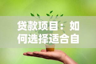 貸款項目：如何選擇適合自己的融資方案