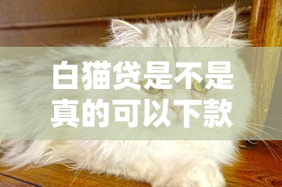 白貓貸是不是真的可以下款，國內五大2025最新雙黑逾期嚴重能下款的平臺