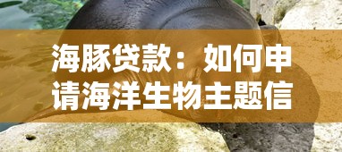 海豚貸款：如何申請(qǐng)海洋生物主題信貸服務(wù)