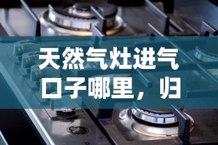 天然氣灶進(jìn)氣口子哪里，歸納5個2025最新好過的網(wǎng)貸平臺