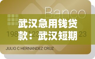 武漢急用錢貸款：武漢短期資金周轉最快解決方案