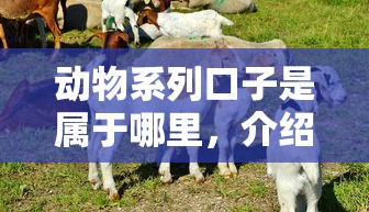 動物系列口子是屬于哪里，介紹五個2025最新天際錢袋口子入口