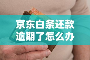 京東白條還款逾期了怎么辦，整合5個2025最新正規平臺可以借錢