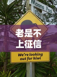 老是不上征信是什么原因，探討五款2025最新個體戶貸款平臺