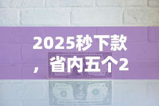 2025秒下款，省內五個2025最新企業貸款平臺