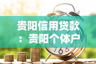 貴陽信用貸款：貴陽個體戶如何申請低息貸款