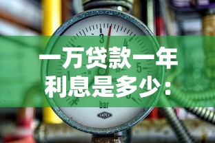 一萬貸款一年利息是多少：借款一萬元年利率如何計(jì)算