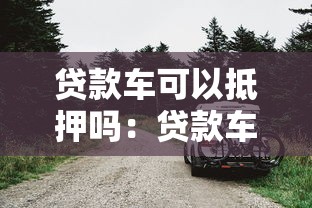 貸款車可以抵押嗎：貸款車能否再次抵押