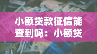 小額貸款征信能查到嗎：小額貸款能否查詢信用報告