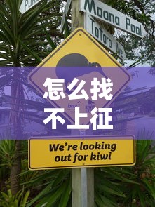 怎么找不上征信的口子，匯總五個2025最新分期貸款平臺