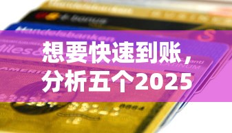 想要快速到賬，分析五個2025最新17歲能貸款的平臺