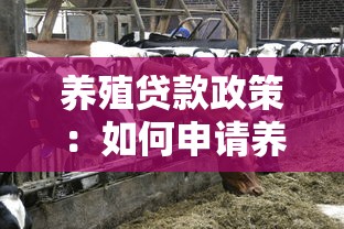 養(yǎng)殖貸款政策：如何申請養(yǎng)殖業(yè)資金扶持