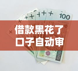 借款黑花了口子自動審核，總結(jié)五個2025最新2025口子交流論壇最新