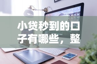 小貸秒到的口子有哪些，整理五個2025最新網貸平臺怎么注銷