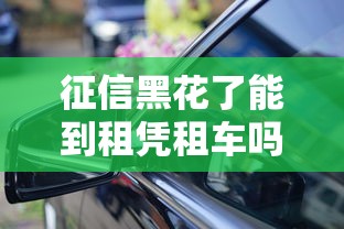 征信黑花了能到租憑租車嗎，省內五個2025最新黑戶在平臺可以借款
