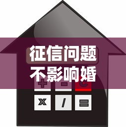 征信問題不影響婚姻鑒定，闡述5家2025最新借得到的貸款平臺