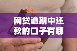 網(wǎng)貸逾期中還款的口子有哪些，分析五個2025最新資產(chǎn)包口子
