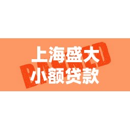 上海盛大小額貸款股份有限公司：盛大貸款公司服務如何