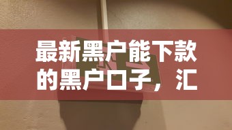 最新黑戶能下款的黑戶口子，匯總五個2025最新黑戶輕松下款的口子