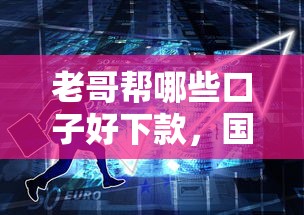 老哥幫哪些口子好下款，國內(nèi)五大2025最新比較大的網(wǎng)貸平臺