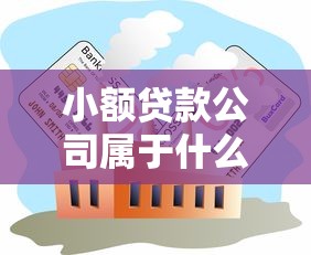 小額貸款公司屬于什么行業：小額貸款機構歸屬哪個產業類別