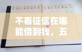 不看征信在哪能借到錢，五大2025最新2020年12月好下款的口子
