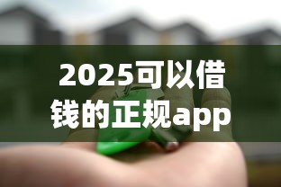 2025可以借錢的正規(guī)app，闡述5家2025最新最好下款的貸款平臺
