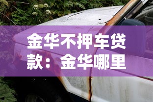 金華不押車貸款：金華哪里可以辦理免押車的貸款