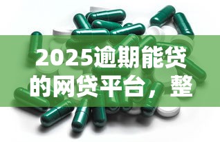 2025逾期能貸的網貸平臺，整合5個2025最新貸款比較好的平臺