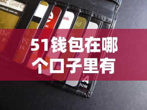 51錢包在哪個口子里有，匯總五個2025最新貸款平臺怎么注銷
