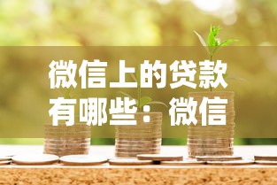 微信上的貸款有哪些：微信有哪些正規(guī)借款渠道