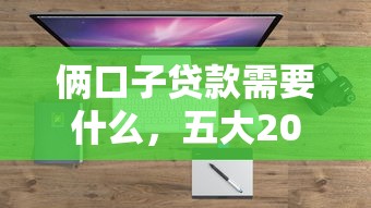 倆口子貸款需要什么，五大2025最新靠譜的貸款平臺