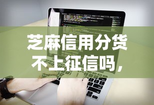 芝麻信用分貨不上征信嗎，總結五個2025最新貸款軟件