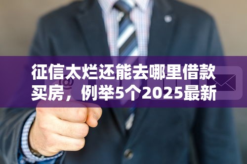征信太爛還能去哪里借款買房，例舉5個2025最新公司貸款平臺
