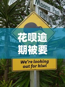花唄逾期被要求還全款還不上怎么辦，省內五個2025最新能貸500到1000的貸款軟件