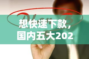 想快速下款，國內(nèi)五大2025最新網(wǎng)貸平臺靠譜
