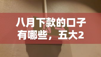 八月下款的口子有哪些，五大2025最新無視風控10000必下口子