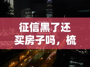 征信黑了還買(mǎi)房子嗎，梳理5個(gè)2025最新網(wǎng)貸利率低的平臺(tái)