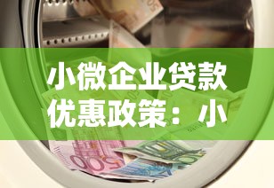 小微企業(yè)貸款優(yōu)惠政策：小微企業(yè)如何獲得低息融資支持