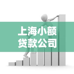 上海小額貸款公司：上海哪里能快速借到小額資金