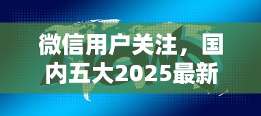 微信用戶關注，國內五大2025最新最新黑口子秒過的