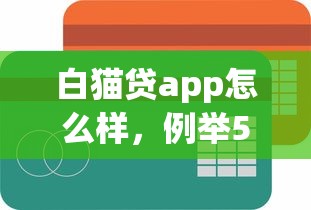 白貓貸app怎么樣，例舉5個(gè)2025最新小額度借錢百分百通過的平臺(tái)