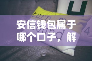 安信錢包屬于哪個口子，解答五家2025最新16歲借錢平臺