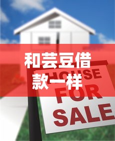 和蕓豆借款一樣的口子，國內五大2025最新高炮口子2025最新下款
