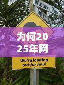 為何2025年網貸不上征信，闡述5家2025最新比較可靠的貸款平臺