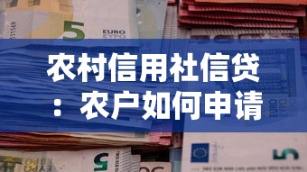 農(nóng)村信用社信貸：農(nóng)戶如何申請小額貸款