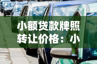 小額貸款牌照轉(zhuǎn)讓價(jià)格：小貸牌照市場價(jià)為何差異懸殊