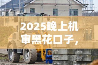 2025晚上機審黑花口子，歸納5個2025最新大學生可以借錢的平臺
