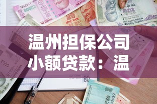 溫州擔(dān)保公司小額貸款：溫州哪里能辦小額借貸擔(dān)保